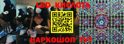 ПСИЛОЦИБИНОВЫЕ ГРИБЫ Гусев