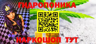 СК Дубна
