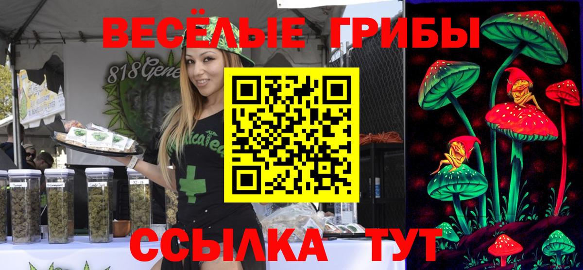 Галлюциногенные грибы Cubensis Заинск