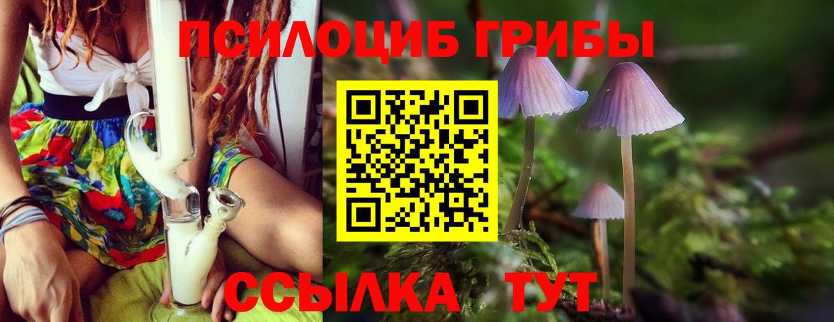Заинск  наркошоп  Вход с VPN  Псилоцибиновые грибы Psilocybine cubensis 